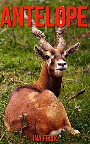 Download Antelope: Children Book of Fun Facts & Amazing Photos on Animals in Nature - A Wonderful Antelope Book for Kids aged 3-7 - Ina Felix file in ePub