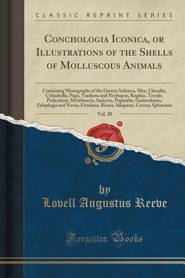 Read online Conchologia Iconica, or Illustrations of the Shells of Molluscous Animals, Vol. 20: Containing Monographs of the Genera Solemya, Mya, Clausilia, Cylindrella, Pupa, Vanikora and Neritopsis, Kuphus, Teredo, Pedicularia, Mytelimeria, Saxicava, Pupinid�, Gas - Lovell Augustus Reeve | PDF