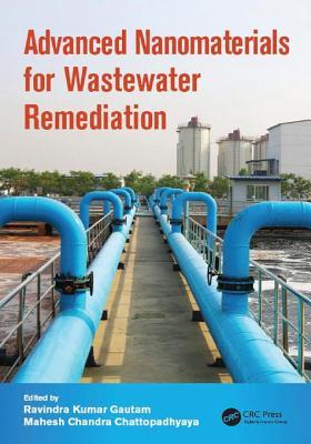 Read Advanced Nanomaterials for Wastewater Remediation - Ravindra Kumar Gautam file in ePub