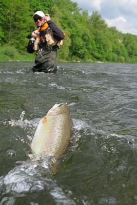 Read online Summer Fly Fishing Journal: 150 Page Lined Notebook/Diary - NOT A BOOK file in PDF