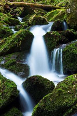Download A Moss Covered Stream in Oregon: Blank 150 Page Lined Journal for Your Thoughts, Ideas, and Inspiration - NOT A BOOK | PDF