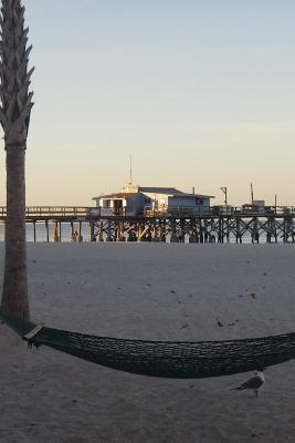 Read online A Hammock on the Beach in Florida: Blank 150 Page Lined Journal for Your Thoughts, Ideas, and Inspiration - NOT A BOOK | ePub