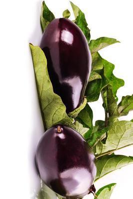 Download Delicious Eggplant Harvest, for the Love of Food: Blank 150 Page Lined Journal for Your Thoughts, Ideas, and Inspiration - NOT A BOOK | PDF