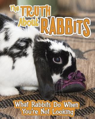 Read The Truth about Rabbits: What Rabbits Do When You're Not Looking - Mary Colson file in PDF