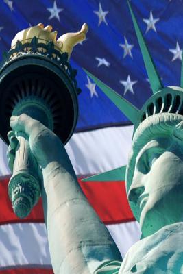 Read online Journal Lady Liberty USA Flag Background Statue of Liberty: (Notebook, Diary, Blank Book) - NOT A BOOK file in ePub