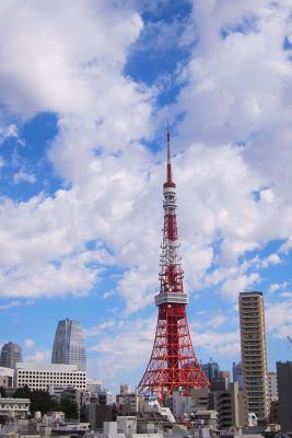 Read online Tokyo Tower in Japan Journal: 150 Page Lined Notebook/Diary - NOT A BOOK file in PDF