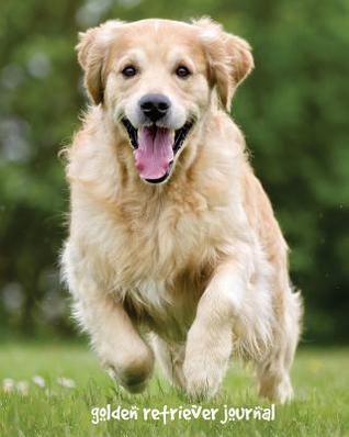 Download Golden Retriever Journal: 8 X 10 Inch Dog Notebook, College Ruled, Lined Paper, 150 Pages - NOT A BOOK file in PDF