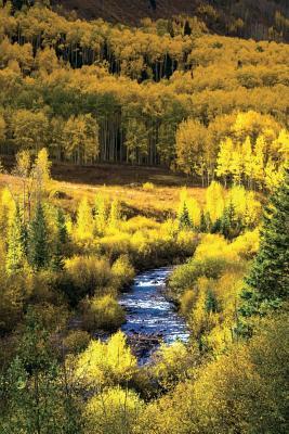 Read online Mountain Stream and Aspen Trees in Autumn Journal: 150 Page Lined Notebook/Diary - NOT A BOOK | ePub