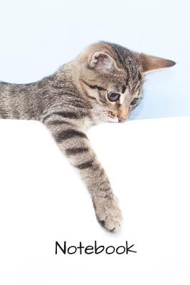 Read Notebook: 6 X 9 150 page college lined soft covered journal, notebook, diary with kitty cat on a matte cover -  file in PDF
