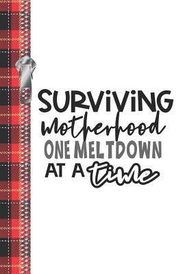 Read online Surviving Motherhood One Meltdown At A Time: Creative Lined Writing Journal For Busy Moms -  file in PDF