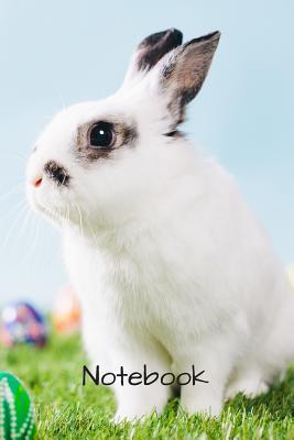 Download Notebook: 6 X 9 150 page college lined soft covered journal, notebook, diary with bunny rabbit with colored eggs on a matte cover -  file in ePub