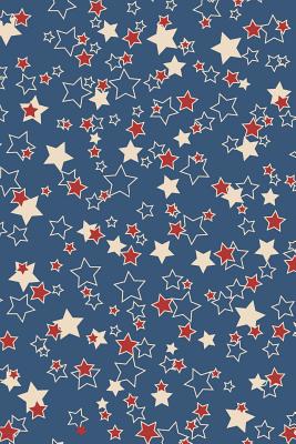 Download Patriotic Pattern - United States Of America 47: Blank Sketch Paper Notebook with frame for Patriots and Locals - Merica Publications file in PDF